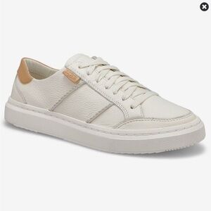 UGG Alameda Lace Up Sneaker